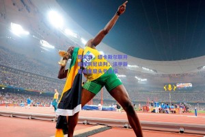 德天空，纽卡斯尔联开启穆阿尼谈判，法甲新星成夏窗头号目标